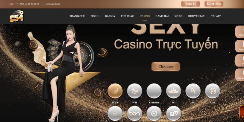tong-quan-ve-casino-c54