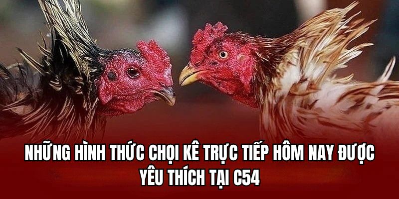da-ga-truc-tiep-hom-nay-hinh-thuc